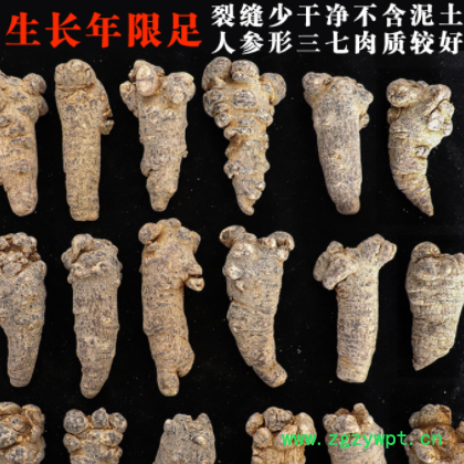 云南文山人参形三七20头30头田七500g文山批发水洗干净图2
