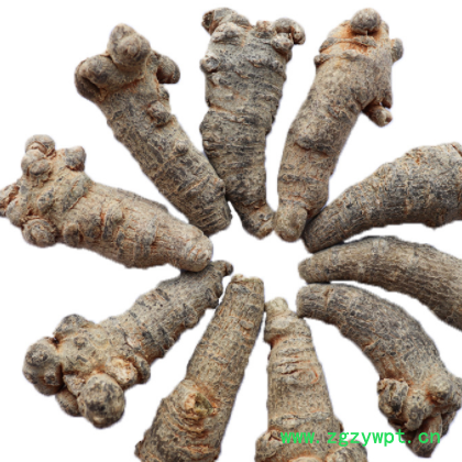 云南文山人参形三七20头30头田七500g文山批发水洗干净图3