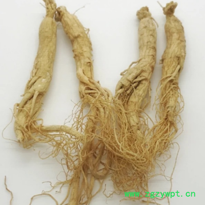 【万良人参批发】生晒参人参东北长白山500g新图3