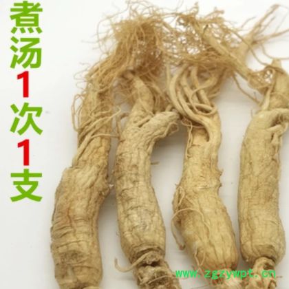 【万良人参批发】生晒参人参东北长白山500g新图2