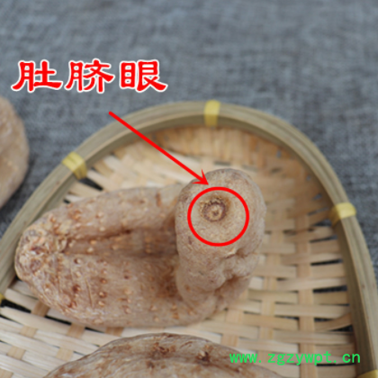 云南天麻丽江红天麻批发500克图3