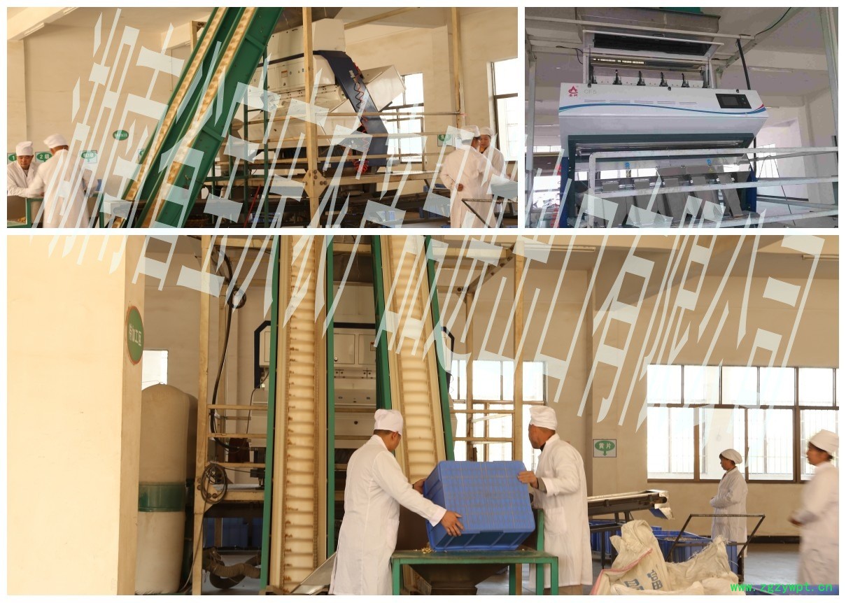 9筛选、色选_conew1