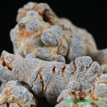 宝泽源三七原产地货源包邮 中药材春三七批发 食用农产品产地直发图3