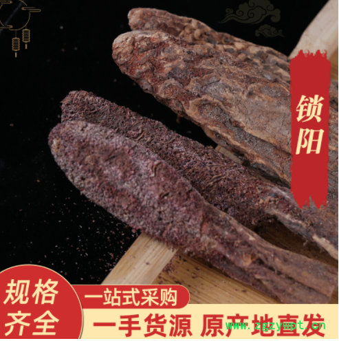 宝泽源药食同源锁阳 金锁阳 整只锁阳批发 锁阳片泡酒料代发