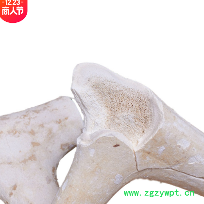 中药材批发鹿角霜 鹿角霜粉 鹿角白霜承接大货订单量大价优鹿角霜图3