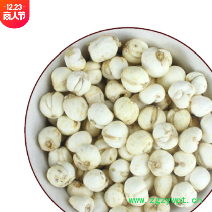 供应贝母干净无杂川贝母 各种规格新货浙贝母 承接订单贝母图2