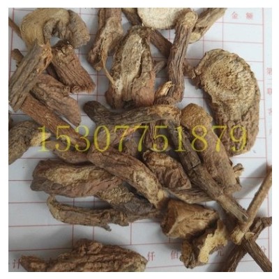 中药材老鸦咀 古羊藤 南苦参 红马连鞍 虎阴藤 有毛老鸦嘴 切片