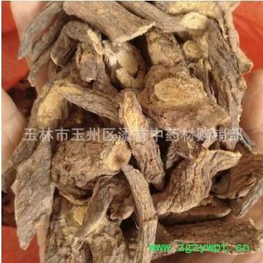 中药材老鸦咀 古羊藤 南苦参 红马连鞍 虎阴藤 有毛老鸦嘴 切片图2