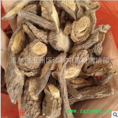 中药材老鸦咀 古羊藤 南苦参 红马连鞍 虎阴藤 有毛老鸦嘴 切片图3