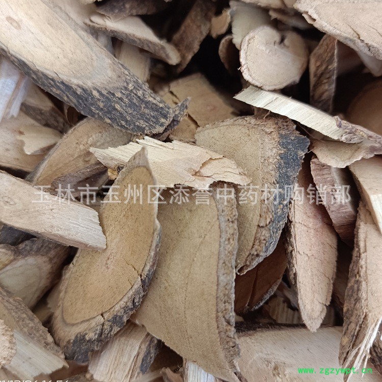 飞龙掌血阳枝12