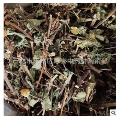 中药材天文草 金纽扣 别名雨伞草 小铜锤草 云南黄花苦草切段干货