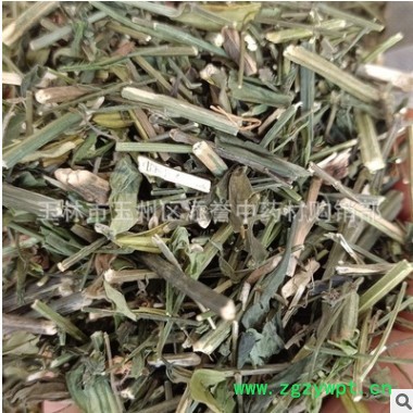 广西中药材 穿心莲 别名一见喜 榄核莲 苦胆草 苦草切段 市场直供图2