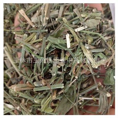 广西中药材 穿心莲 别名一见喜 榄核莲 苦胆草 苦草切段 市场直供