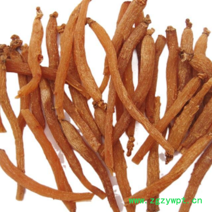 厂家批发长白山红参小抄各种人参产品西洋参生晒参吉林特产图3