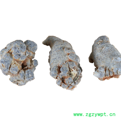 宝泽源三七原产地货源包邮 中药材春三七批发 食用农产品产地直发图2