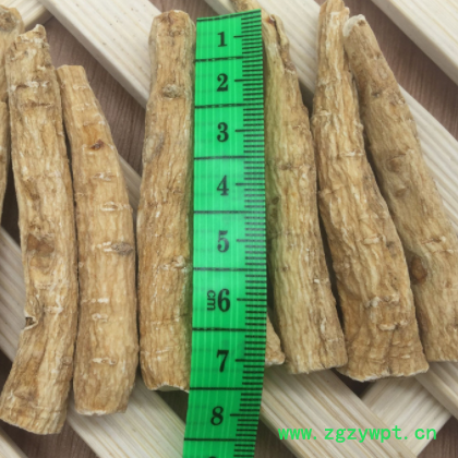 西洋参特大丁批发 花旗参丁 免费提供打粉 切片图2