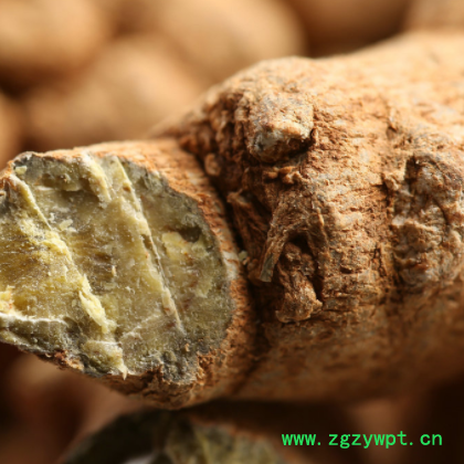 云南文山三七批发 不打蜡 正品水洗田七 三七粉批发 产地直销图2