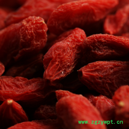 头茬新货 宁夏中宁枸杞批发 宁夏枸杞子散装 枸杞粉250克图2