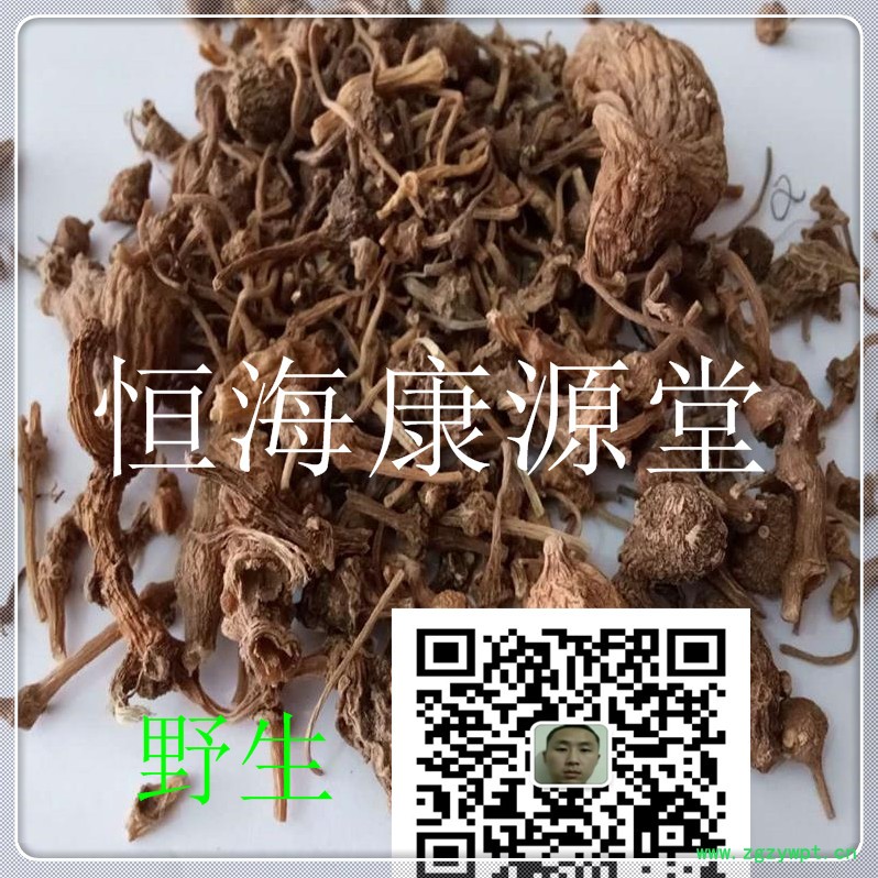 珠子参6987_副本.jpg