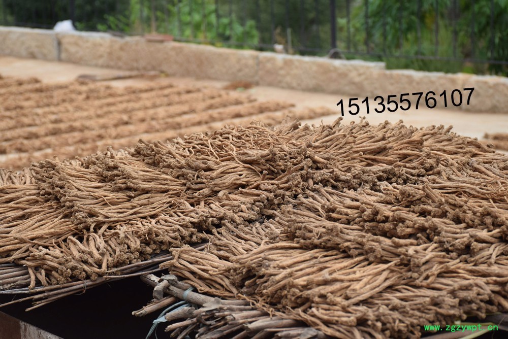 undefined DSC_0305.JPG