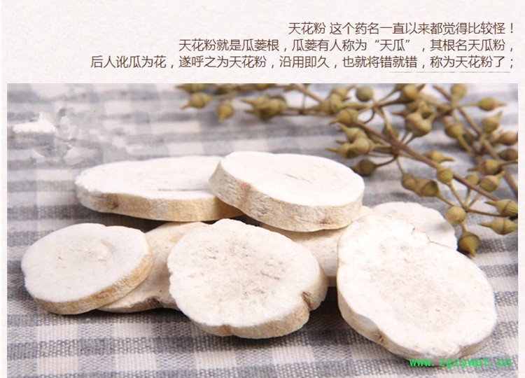 天花粉3.jpg