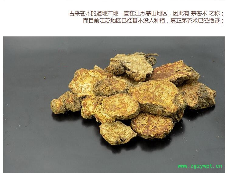 苍术3.jpg