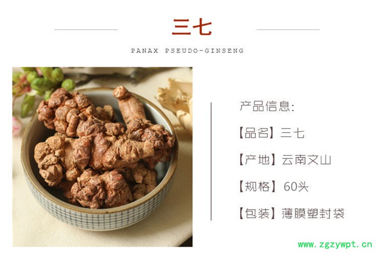 三七60头 副本.jpg