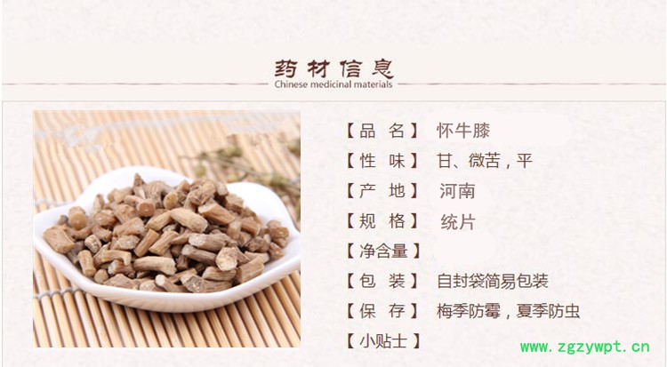 怀牛膝1.jpg