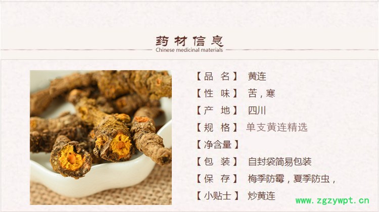 黄连1.jpg