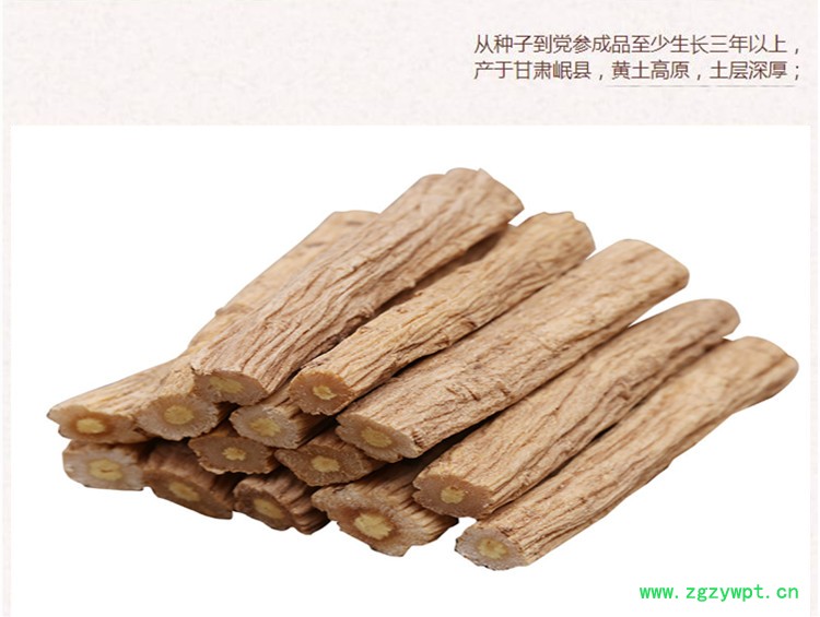 党参段4.jpg