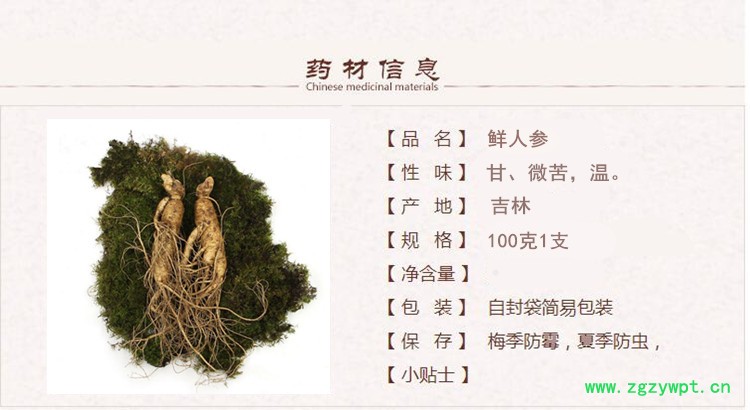 鲜人参1_.jpg