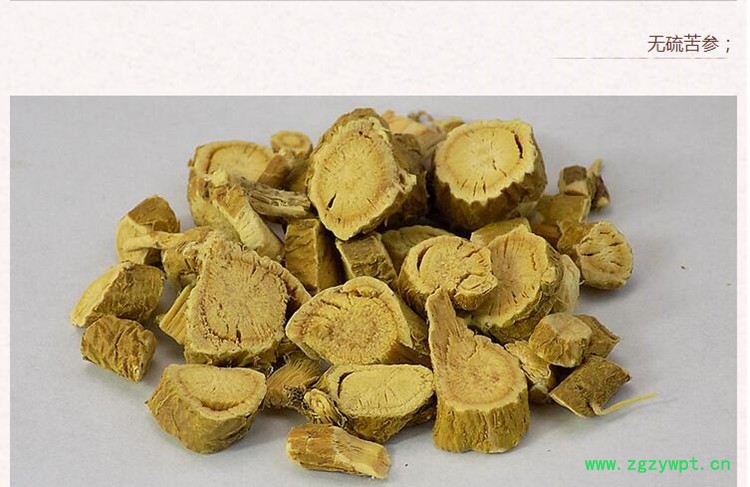 苦参2.jpg
