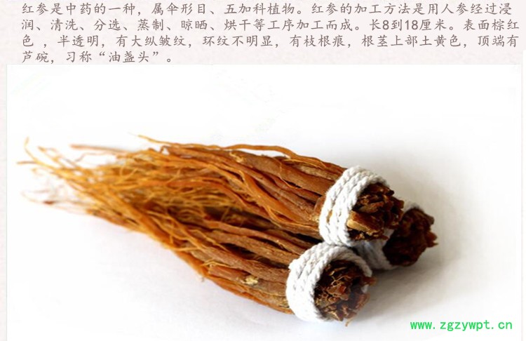 红参无糖1.jpg
