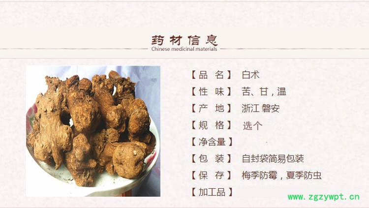 选个白术1.jpg