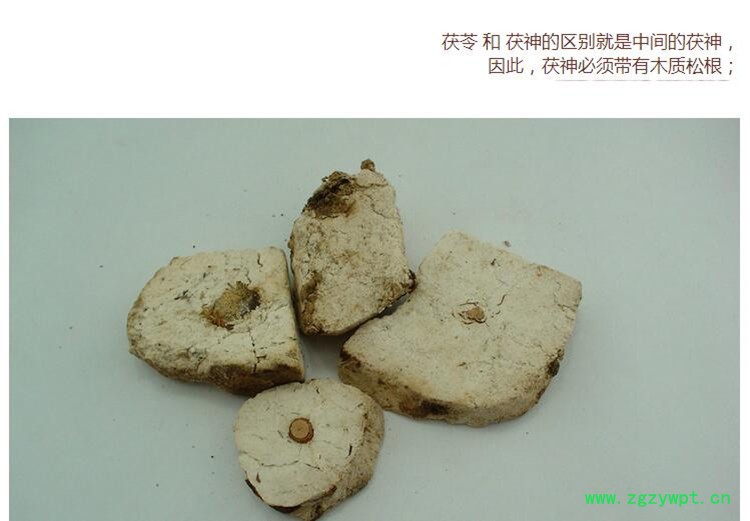 茯神3.jpg