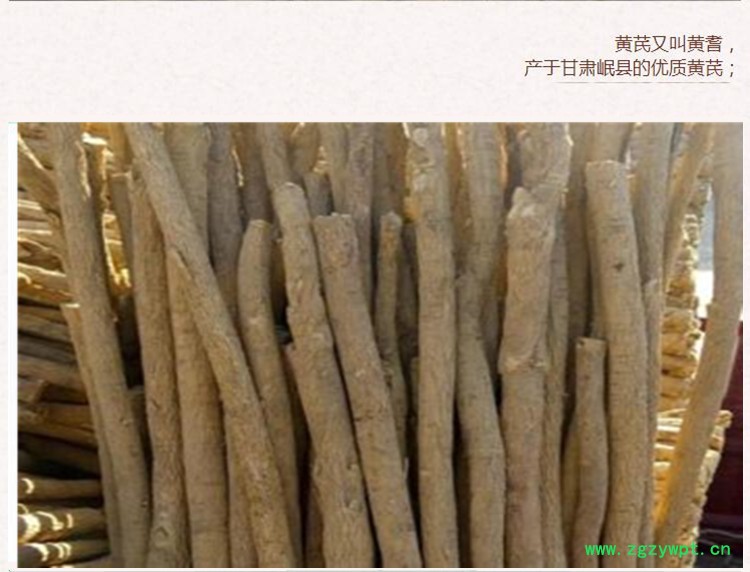 0.8-1.0黄芪4.jpg