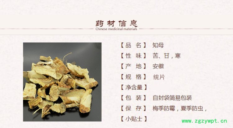 知母1_副本.jpg