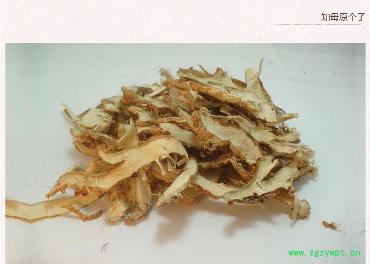 知母3.jpg