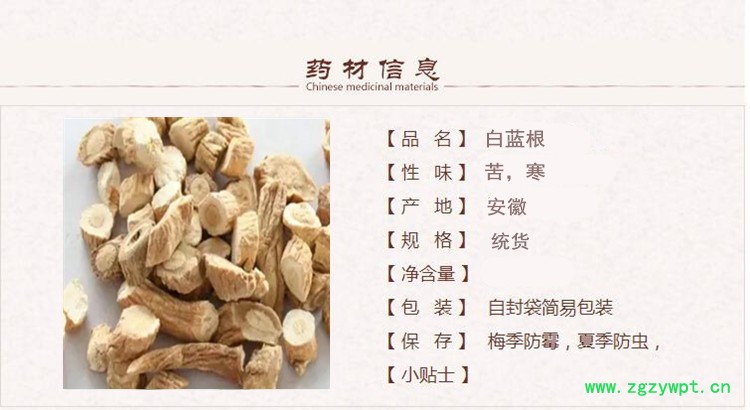 白蓝根1.jpg