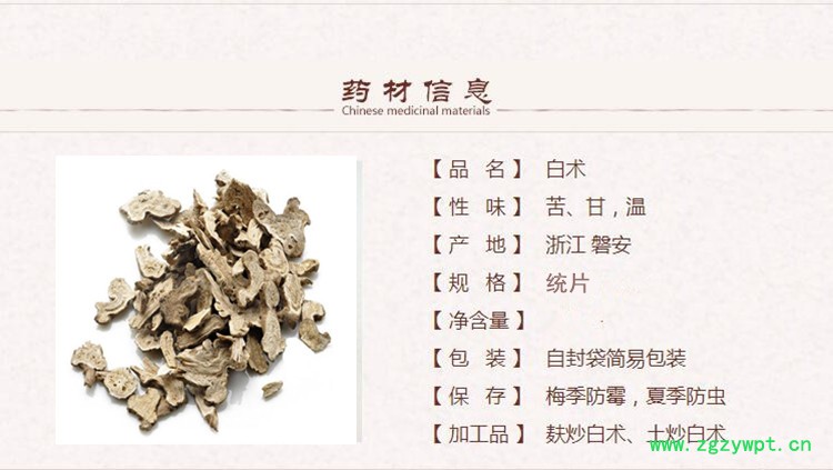 统片白术1.jpg