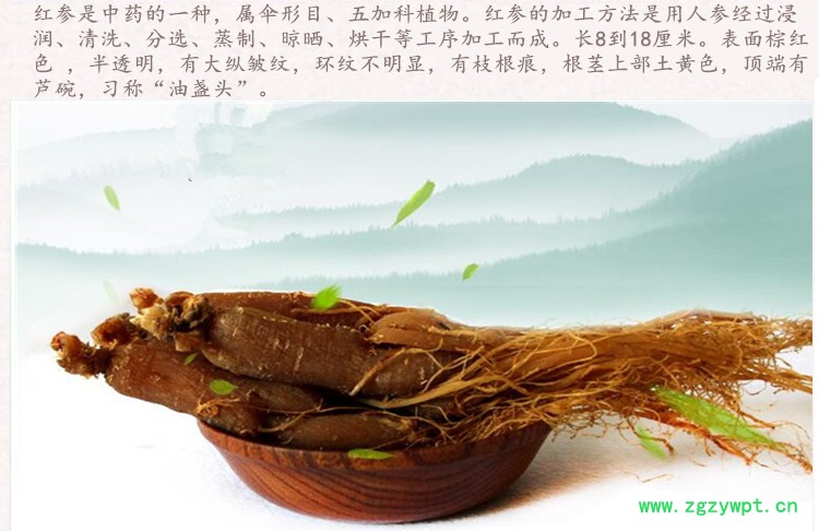 红参20支3_副本_副本.jpg