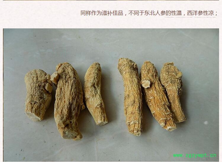 西洋参4.jpg