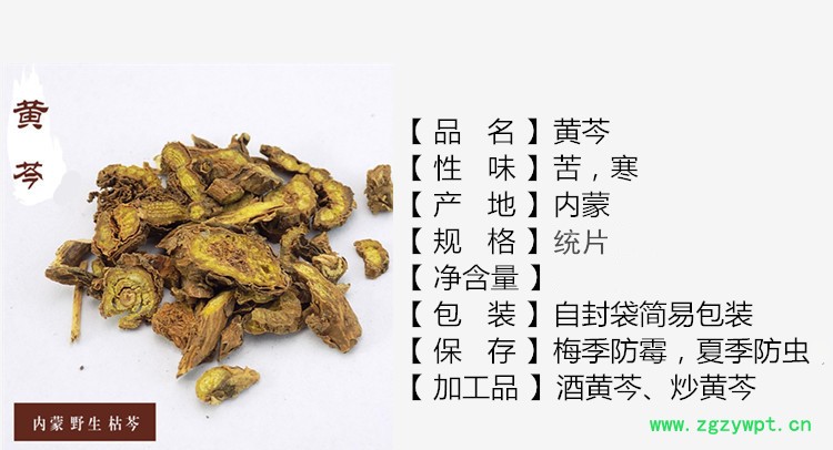 黄芩1_副本.jpg