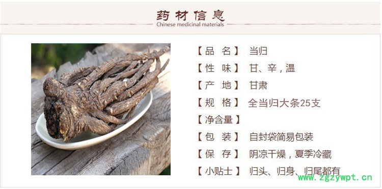 当归大条1.jpg