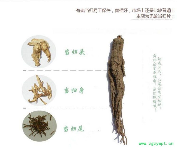当归大条3.jpg