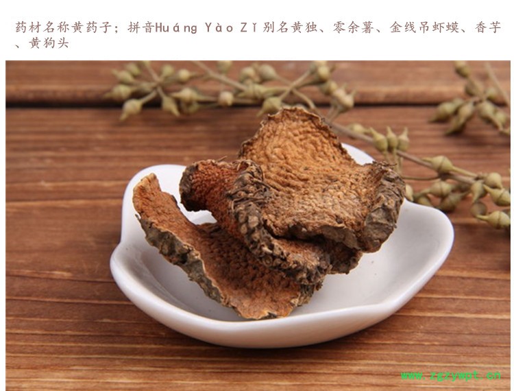 黄药子3.jpg