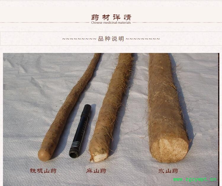 大圆片山药2.jpg