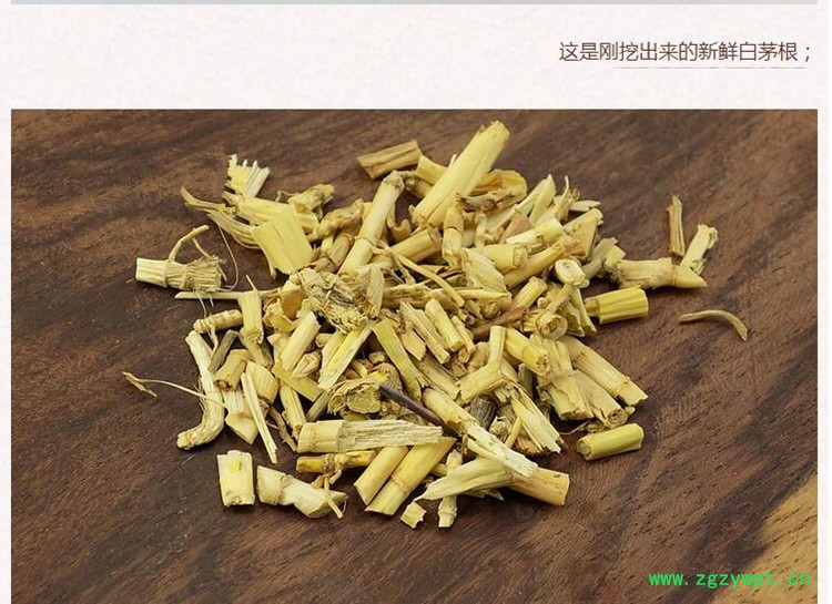 白茅根3.jpg