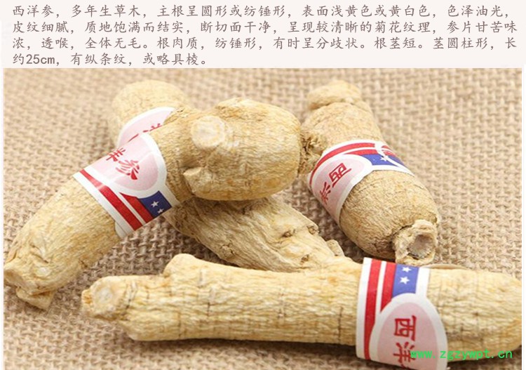 西洋参4__副本.jpg