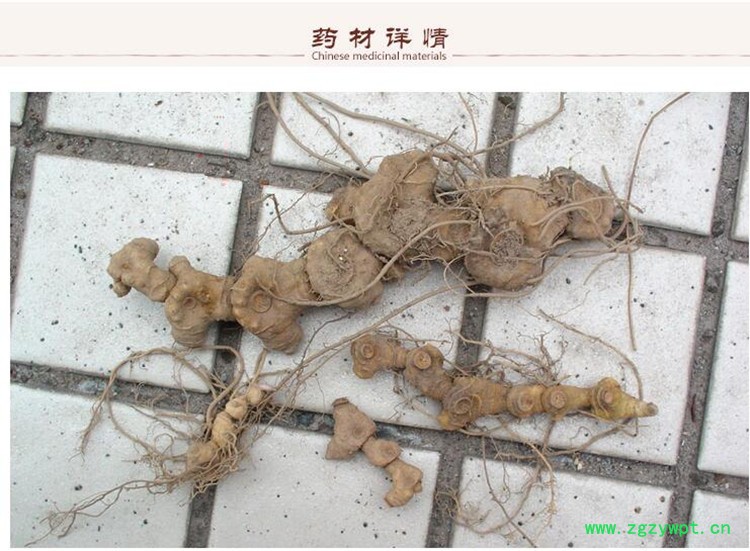 生黄精2.jpg